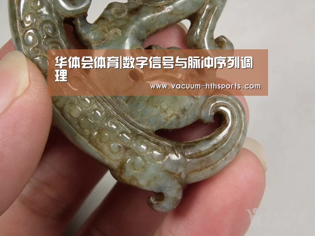 华体会体育|数字信号与脉冲序列调理(图2) 华体会体育