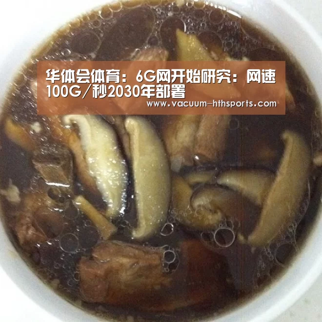华体会体育:6G网开始研究:网速100G/秒2030年部署(图1) 华体会体育
