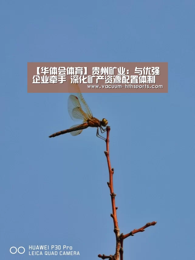 华体会体育