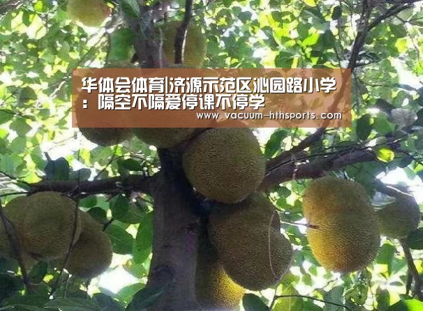华体会体育|济源示范区沁园路小学:隔空不隔爱停课不停学(图4) 华体会体育